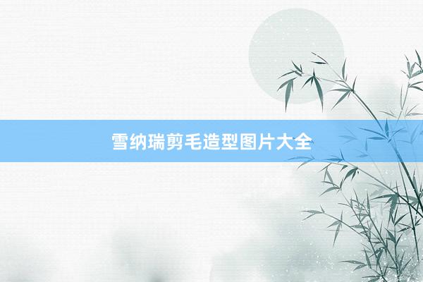 雪纳瑞剪毛造型图片大全