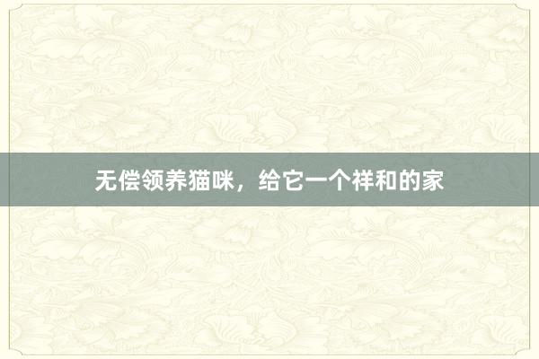 无偿领养猫咪，给它一个祥和的家